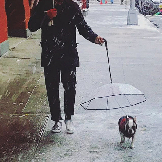 Dog Umbrella Leash