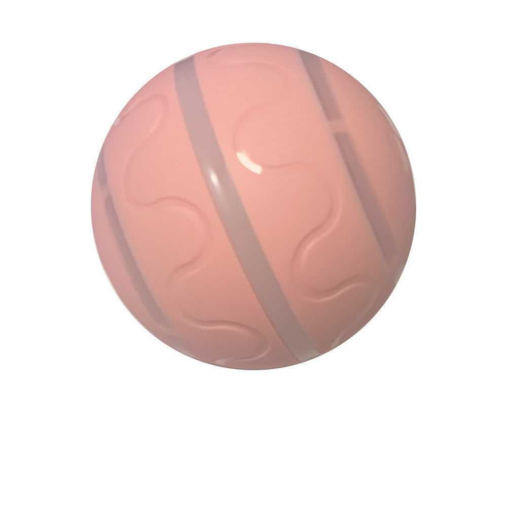 Smart Interactive Pet Ball